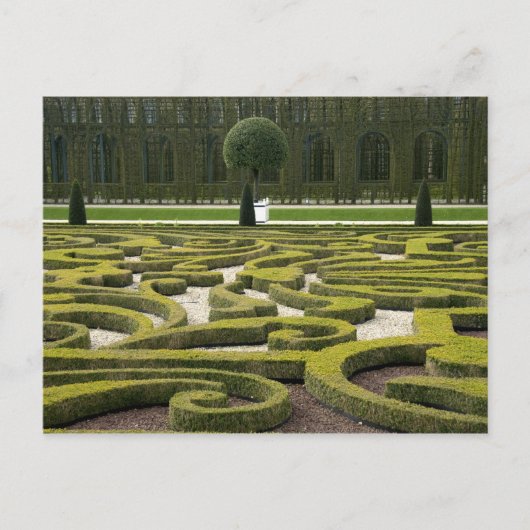 Europa, Nederland (ook bekend als Holland), Apeldo Briefkaart (Voorkant)