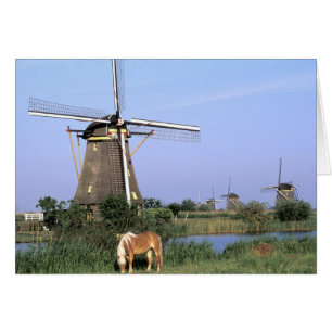 Europa, Nederland, Zuid Holland, Kinderdijk. 2