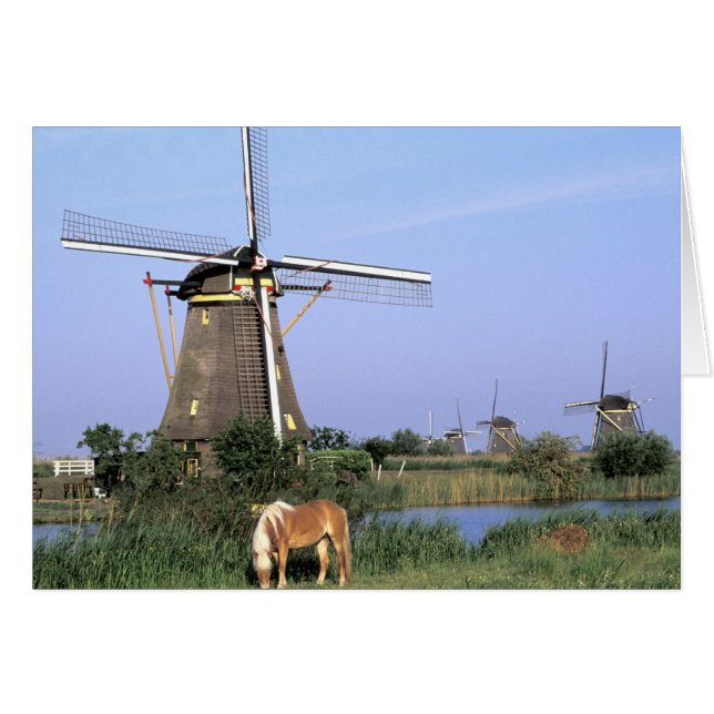 Europa, Nederland, Zuid Holland, Kinderdijk. 2 (Voorkant Horizontaal)