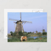 Europa, Nederland, Zuid Holland, Kinderdijk.2 Briefkaart (Voorkant / Achterkant)