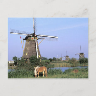 Europa, Nederland, Zuid Holland, Kinderdijk.2 Briefkaart