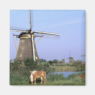 Europa, Nederland, Zuid Holland, Kinderdijk. 2 Magneet