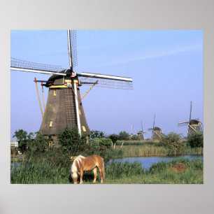 Europa, Nederland, Zuid Holland, Kinderdijk. 2 Poster