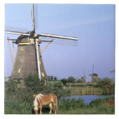 Europa, Nederland, Zuid Holland, Kinderdijk. 2 Tegeltje (Voorkant)