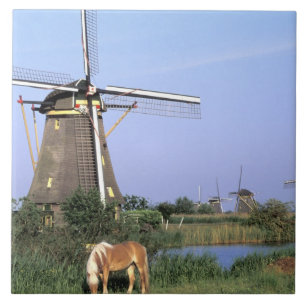 Europa, Nederland, Zuid Holland, Kinderdijk. 2 Tegeltje