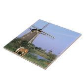 Europa, Nederland, Zuid Holland, Kinderdijk. 2 Tegeltje (Zijkant)