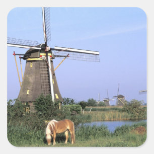 Europa, Nederland, Zuid Holland, Kinderdijk. 2 Vierkante Sticker