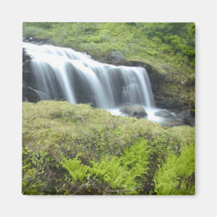 Europa, Noorwegen. Waterval. Magneet