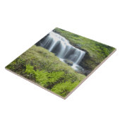 Europa, Noorwegen. Waterval. Tegeltje (Zijkant)