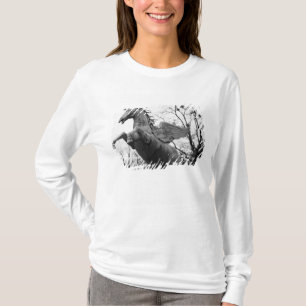 Europa, Oostenrijk, Salzburg. Beeld van gevleugeld T-shirt