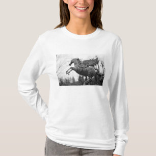 Europa, Oostenrijk, Salzburg. Beeld van gevleugeld T-shirt