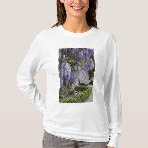 Europa, Oostenrijk, Salzburg Stadt, Salzburg, T-shirt