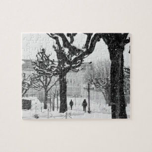 Europa, Oostenrijk, Salzburg. Winter, Legpuzzel