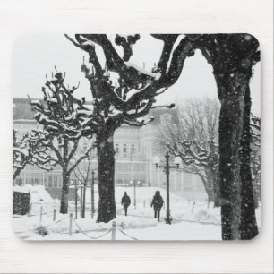 Europa, Oostenrijk, Salzburg. Winter, Muismat