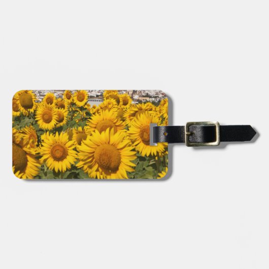 Europa, Spanje, Andalusië, provincie Cadiz Bagagelabel (Voorkant horizontaal)