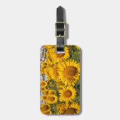 Europa, Spanje, Andalusië, provincie Cadiz Bagagelabel (Voorkant verticaal)