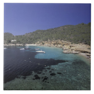 Europa, Spanje, Balearen, Ibiza, Cala Salada. Tegeltje