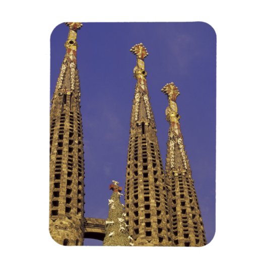 Europa, Spanje, Barcelona Sagrada Familia Magneet (Verticaal)