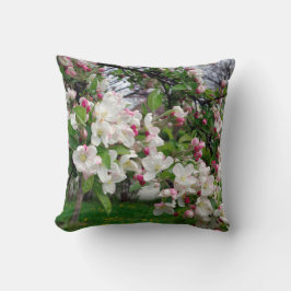 Europa springt in appelboom. kussen