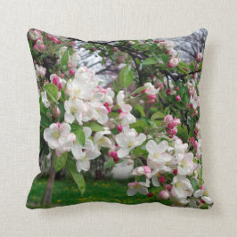 Europa springt in appelboom. kussen