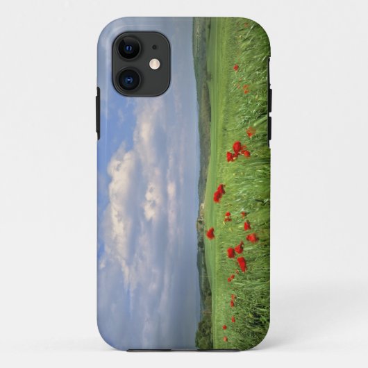 Europa, Toscane, Poggiolo. Rode klaprozen deinen Case-Mate iPhone Case (Achterkant)