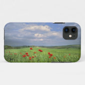 Europa, Toscane, Poggiolo. Rode klaprozen deinen Case-Mate iPhone Case (Achterkant (horizontaal))
