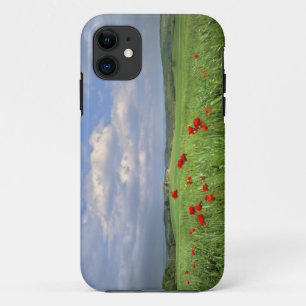 Europa, Toscane, Poggiolo. Rode papegaaien Case-Mate iPhone Case