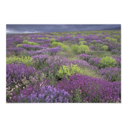 Europa, Turkije, Cappadocia. Landlandschap 3 Foto Afdruk (Voorkant)