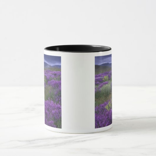 Europa, Turkije, Cappadocia. Plattelandslandschap Mok (Midden)