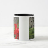 Europa, Wales, Cardiff. Cardiff Castle. Welsh Mok (Midden)