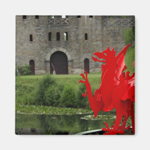 Europa, Wales, Cardiff. Kasteel van Cardiff. Welsh Magneet