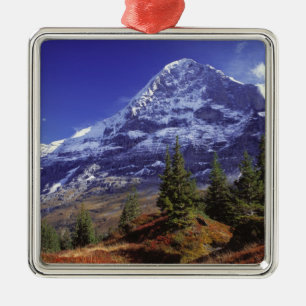 Europa, Zwitserland, Eiger. Herfstkleuren zijn ove Metalen Ornament