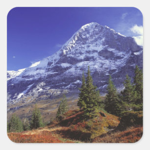 Europa, Zwitserland, Eiger. Herfstkleuren zijn ove Vierkante Sticker