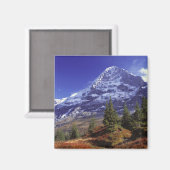 Europa, Zwitserland, Eiger. Vallen kleuren aanwezi Magneet (Voorkant / Achterkant)