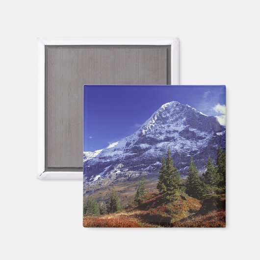 Europa, Zwitserland, Eiger. Vallen kleuren aanwezi Magneet (Voorkant / Achterkant)