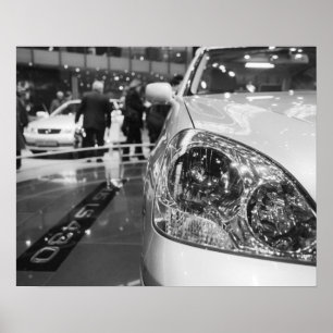 Europa, Zwitserland, Genève. Show van Genève; 2 Poster