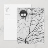 Europa, Zwitserland, Lucerne. Ivy-patroon op Briefkaart (Voorkant / Achterkant)