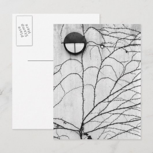 Europa, Zwitserland, Lucerne. Ivy-patroon op Briefkaart (Voorkant / Achterkant)