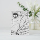 Europa, Zwitserland, Lucerne. Ivy-patroon op Briefkaart (Staand voorkant)