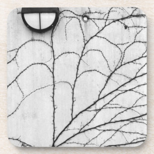 Europa, Zwitserland, Lucerne. Ivy-patroon op Onderzetter