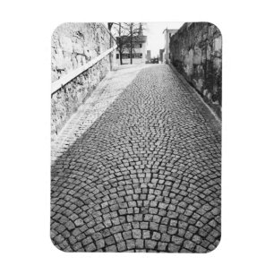 Europa, Zwitserland, Zürich. Kasseienstraat, Magneet