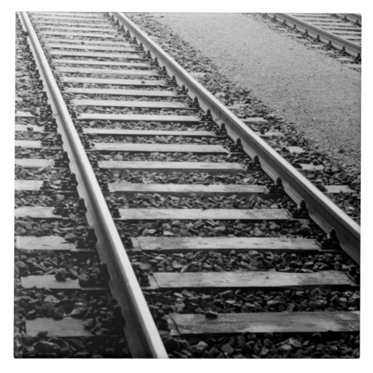 Europa, Zwitserland, Zürich. Trainingssporen Tegeltje (Voorkant)