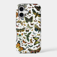 Europa's beste Butterflies en Moths Collage