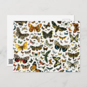 Europa's beste Butterflies en Moths Collage Briefkaart (Voorkant / Achterkant)