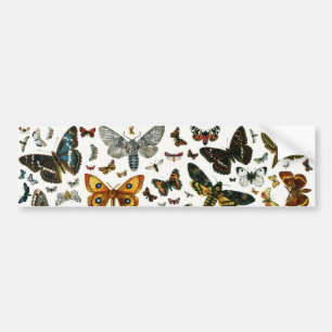 Europa's beste Butterflies en Moths Collage Bumpersticker