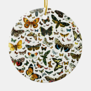 Europa's beste Butterflies en Moths Collage Keramisch Ornament