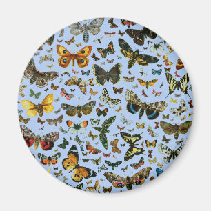 Europa's beste Butterflies en Moths Collage Magneet