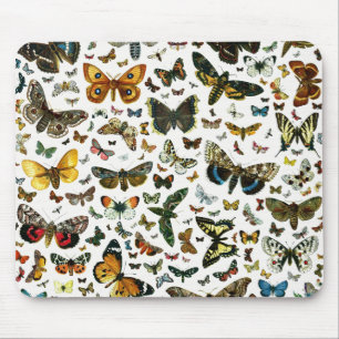 Europa's beste Butterflies en Moths Collage Muismat