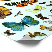 Europa's beste Butterflies en Moths Collage Poster (Hoek)