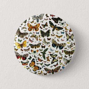 Europa's beste Butterflies en Moths Collage Ronde Button 5,7 Cm
